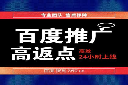 行业典范：百度竞价托管外包成功案例剖析